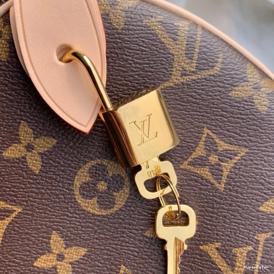 25 SPEEDY Vuitton Louis 0812